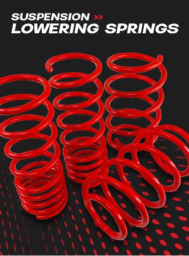 Direnza performance lowering springs