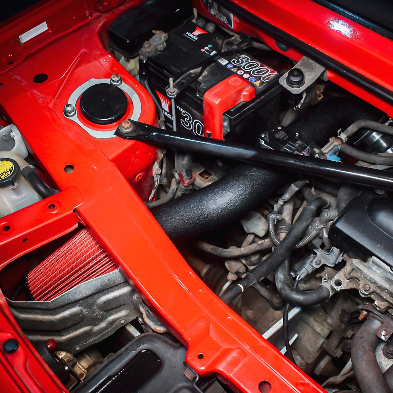 IMG 7590 copy square.jpg